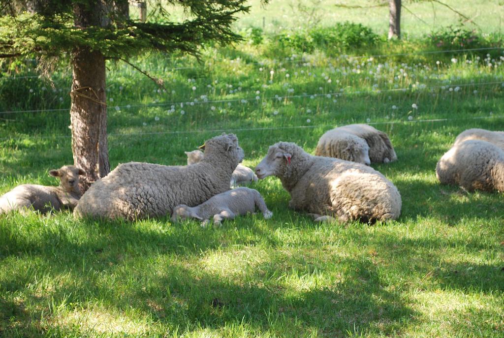 Yorkshire Farm Villa Shintoku Dış mekan fotoğraf