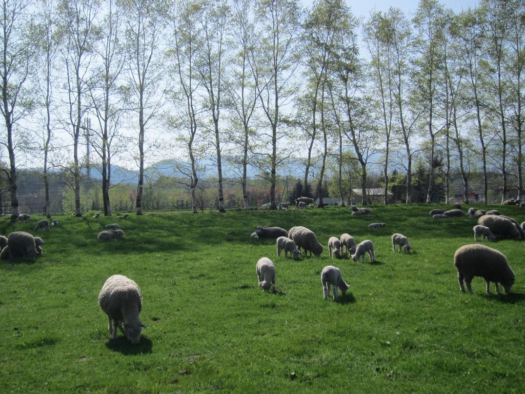 Yorkshire Farm Villa Shintoku Dış mekan fotoğraf