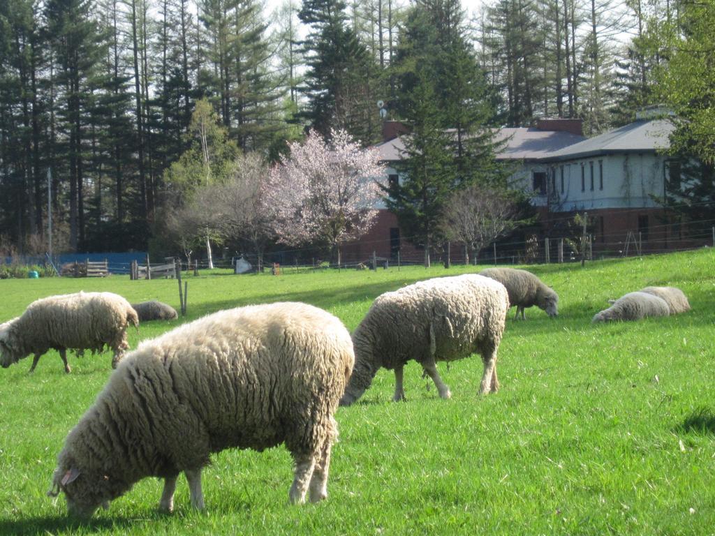 Yorkshire Farm Villa Shintoku Dış mekan fotoğraf