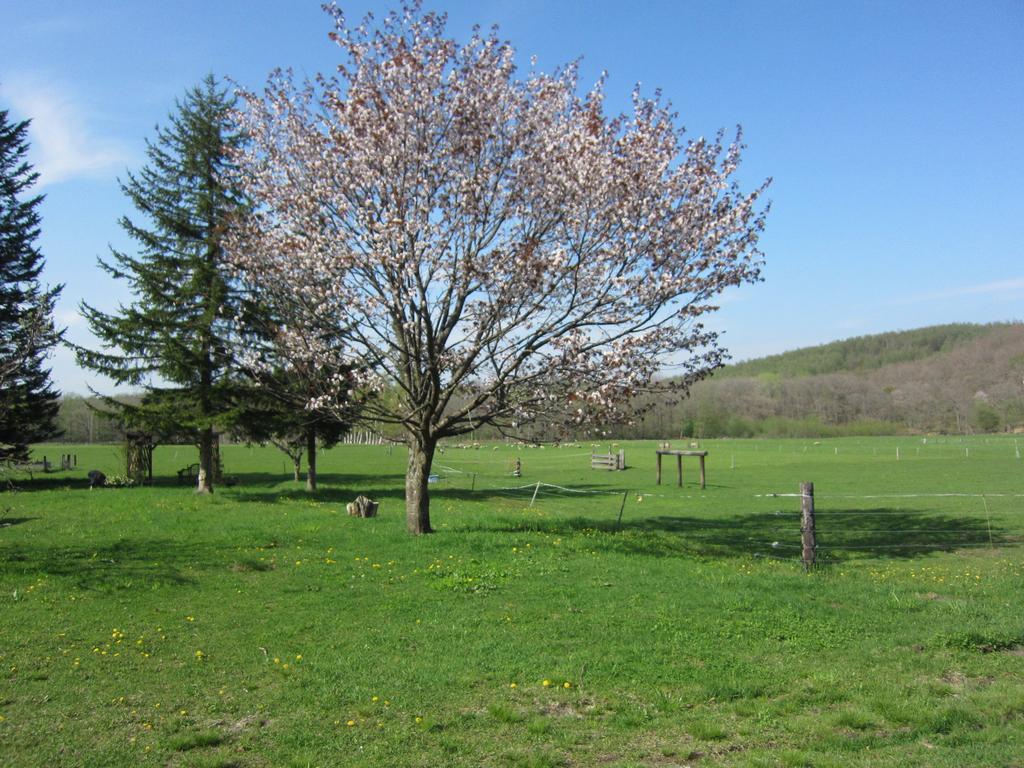 Yorkshire Farm Villa Shintoku Dış mekan fotoğraf