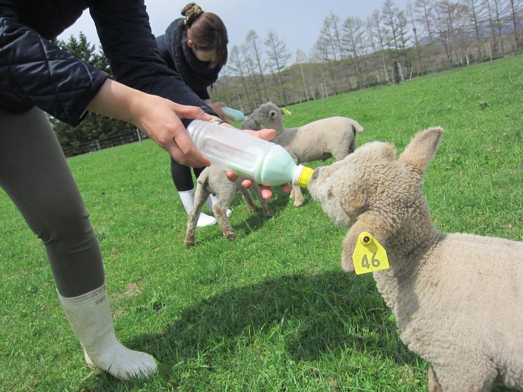 Yorkshire Farm Villa Shintoku Dış mekan fotoğraf