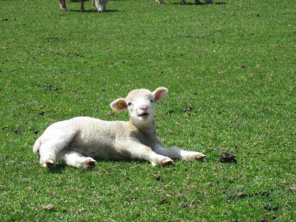 Yorkshire Farm Villa Shintoku Dış mekan fotoğraf