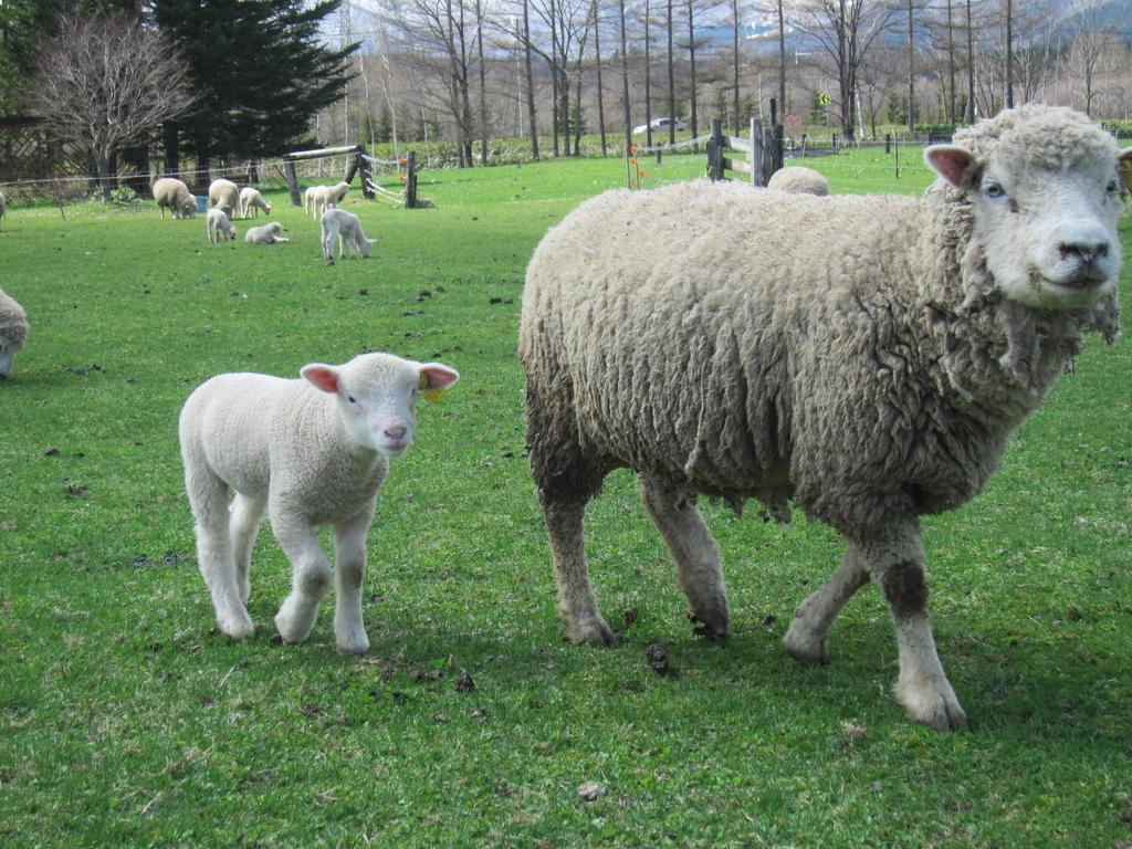 Yorkshire Farm Villa Shintoku Dış mekan fotoğraf