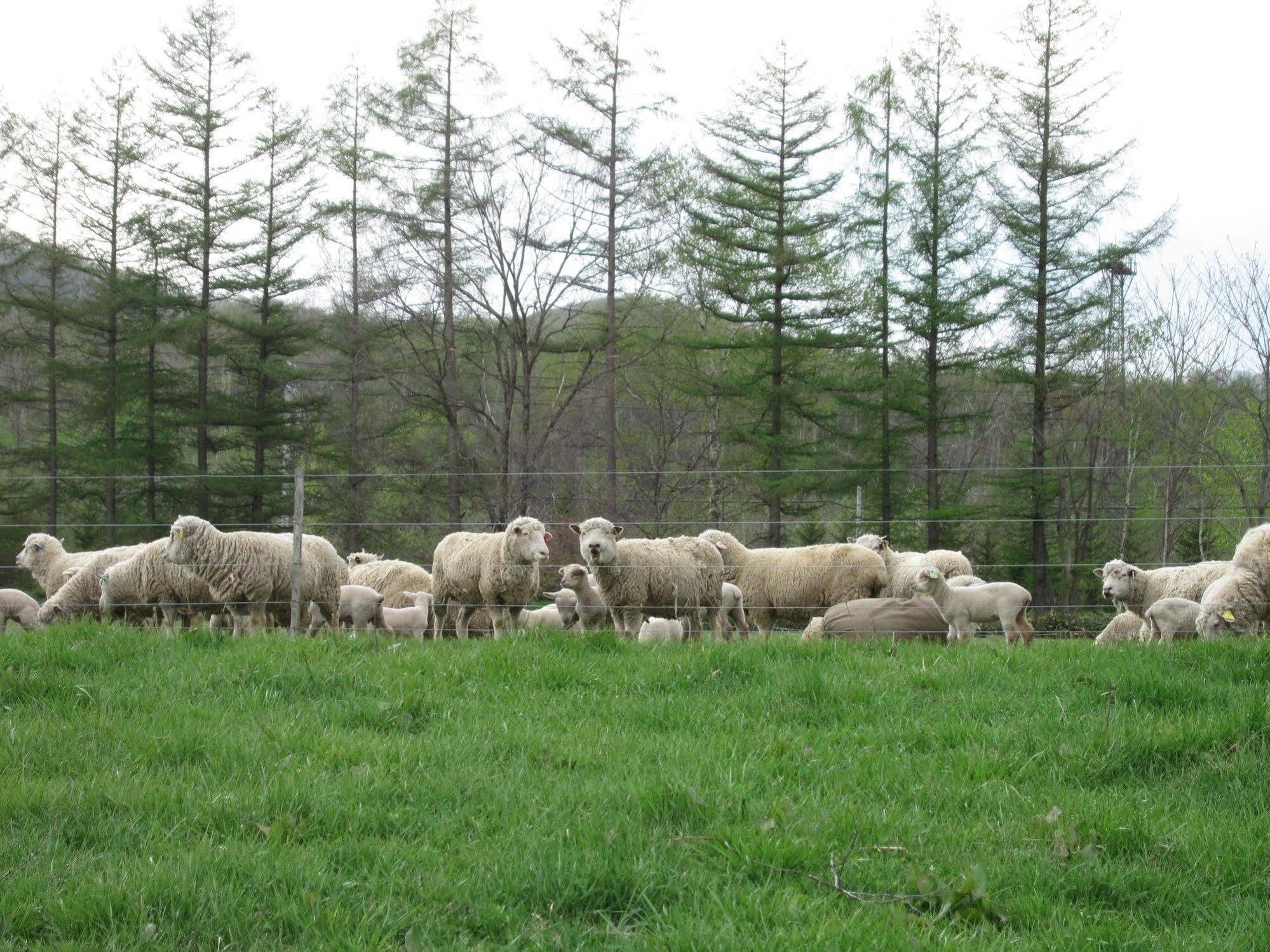 Yorkshire Farm Villa Shintoku Dış mekan fotoğraf